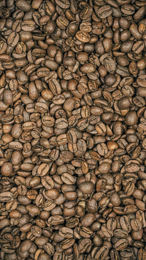 Café de spécialité
